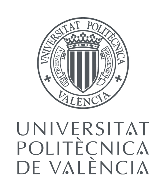 IT Group - Artifical Intelligence, Department of Information Systems and Computing, Polytechnic University of Valencia